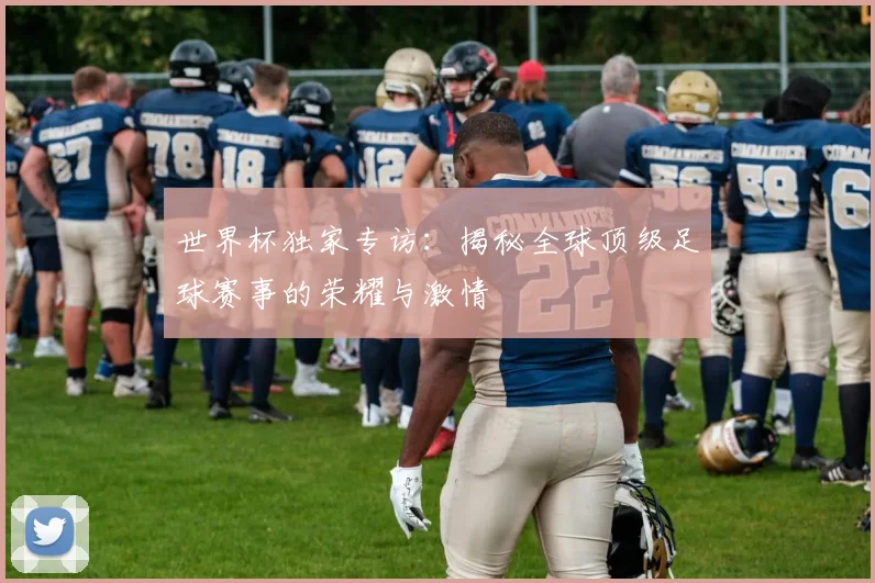世界杯独家专访：揭秘全球顶级足球赛事的荣耀与激情