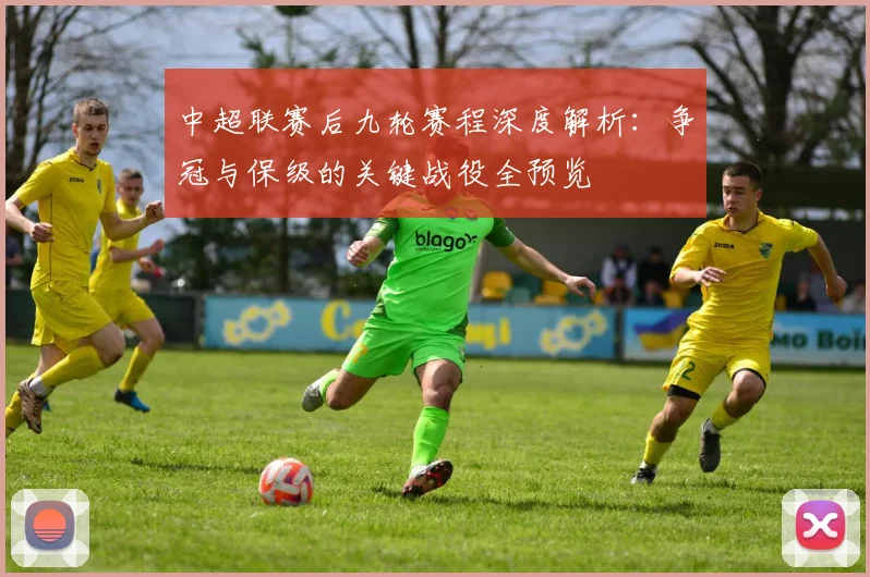 中超联赛后九轮赛程深度解析:争冠与保级的关键战役全预览